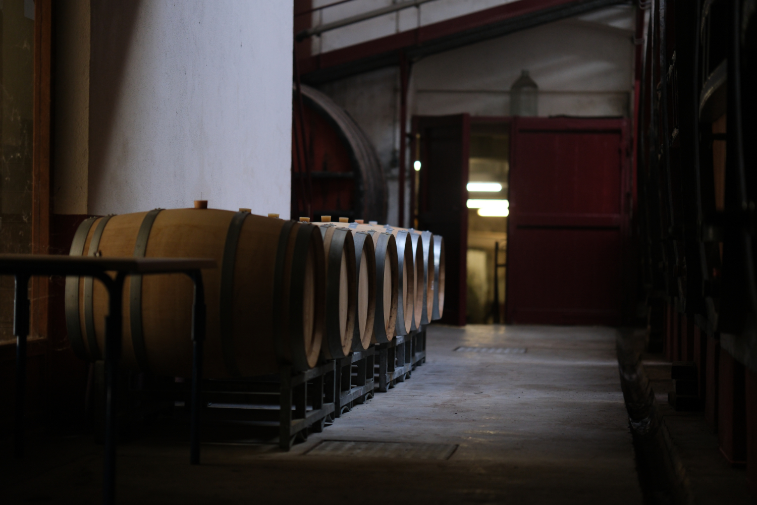 Barriques de vin dans la cave des Vignerons de Maury