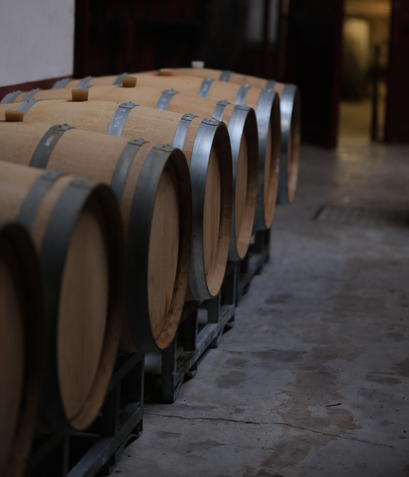 Barriques de vin dans la cave des Vignerons de Maury