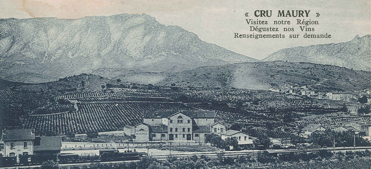 Photo d'archive 1990 : de nouvelles expressions du vignoble de Maury
