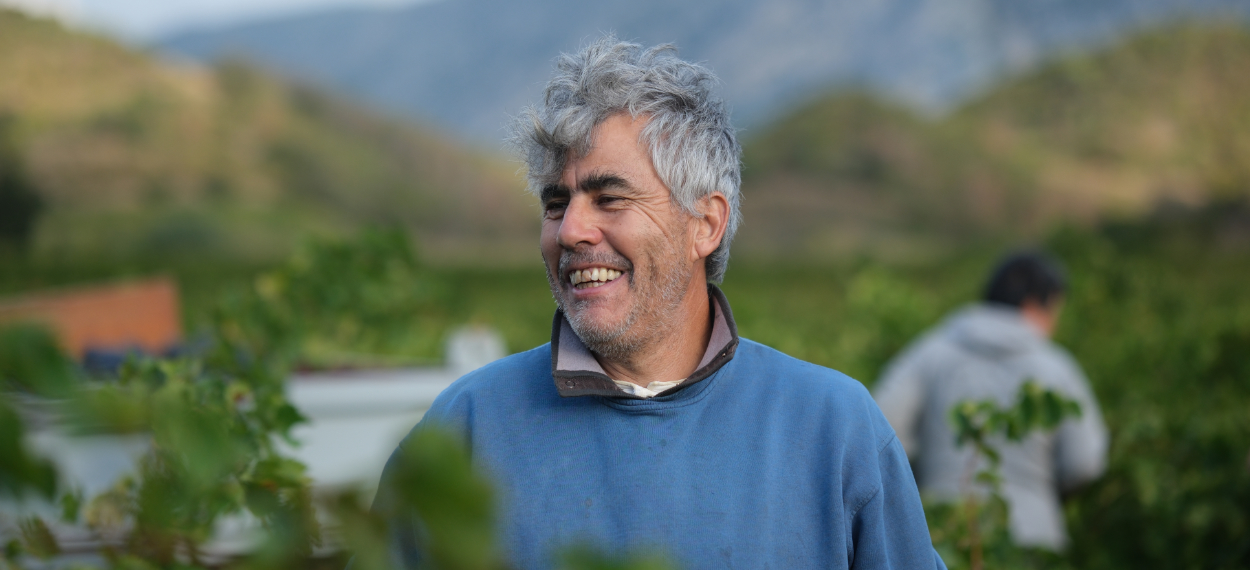 Photo d'archive 2022 : une démarche durable chez Les Vignerons de Maury