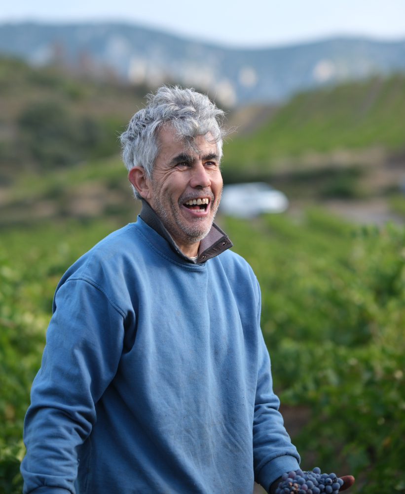 Portrait d'un vigneron des Vignerons de Maury dans les vignes